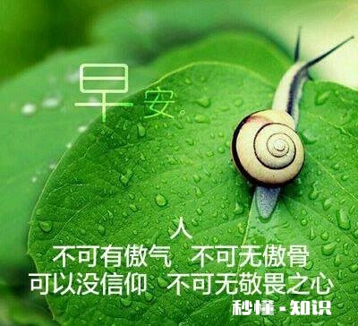 为什么，现在的孩子对很多事情没有敬畏之心呢