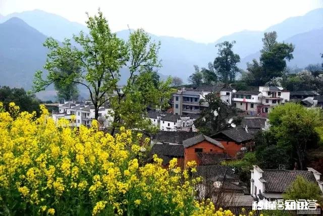 学摄影有什么要求