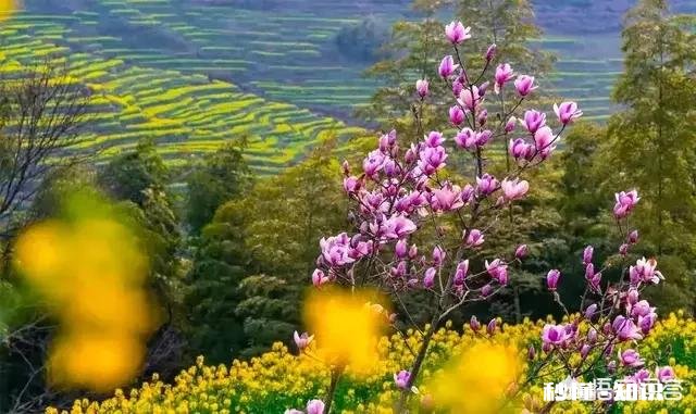 学摄影有什么要求