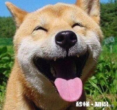 国内单身的人达到2亿了，究竟单身好还是结婚好