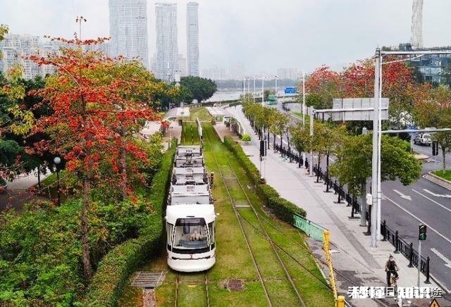 菏泽的牡丹花天下闻名,为何花城是广州市而不是菏泽市呢