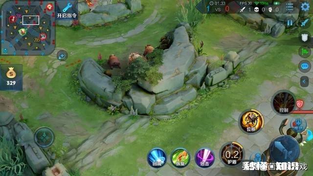 王者荣耀中有哪些可以利用视野的技巧