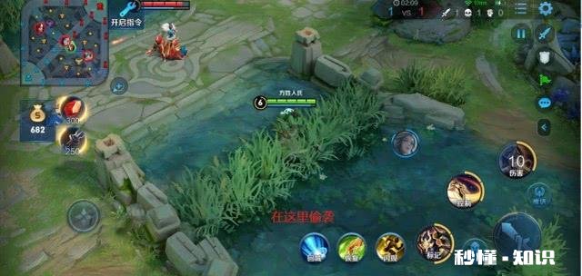 王者荣耀中有哪些可以利用视野的技巧