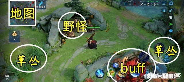 王者荣耀中有哪些可以利用视野的技巧