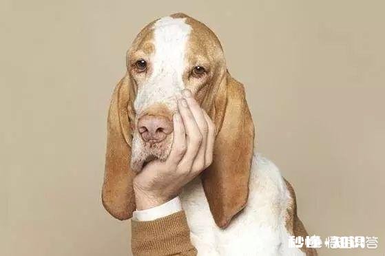 20岁到38岁的朋友们,大家晚上都几点睡觉