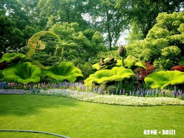 怀孕期间的烦恼，感觉自己很挫败怎么办