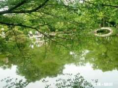 怀孕期间的烦恼，感觉自己很挫败怎么办