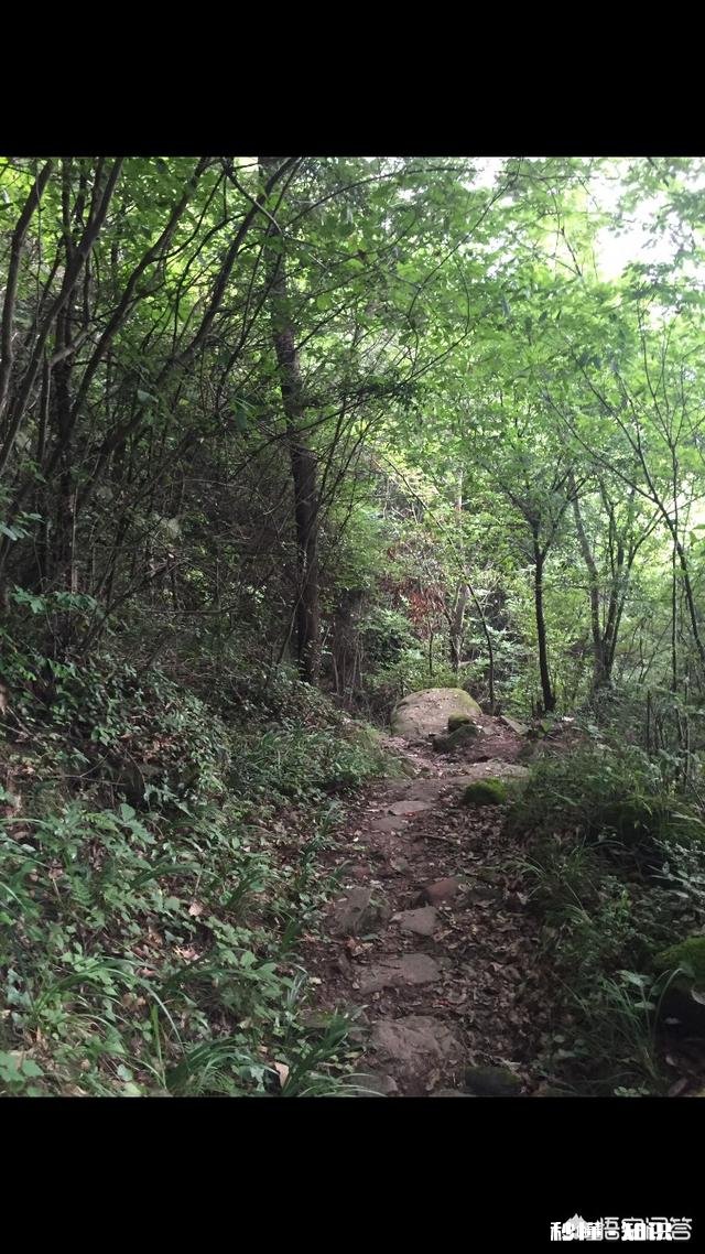 有人说喜欢农村，让你回农村象过去一样种土地，一年半载也去不了城里一次，你愿意吗