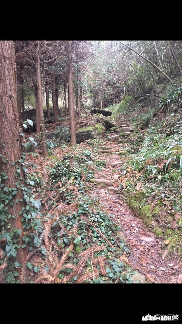 有人说喜欢农村，让你回农村象过去一样种土地，一年半载也去不了城里一次，你愿意吗