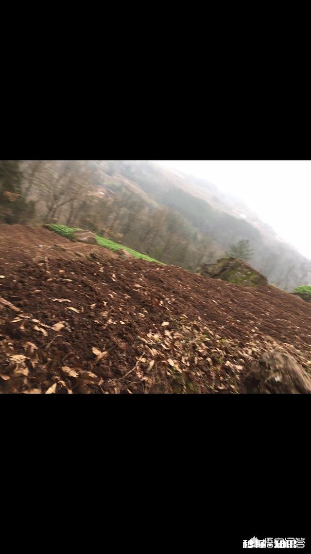 有人说喜欢农村，让你回农村象过去一样种土地，一年半载也去不了城里一次，你愿意吗