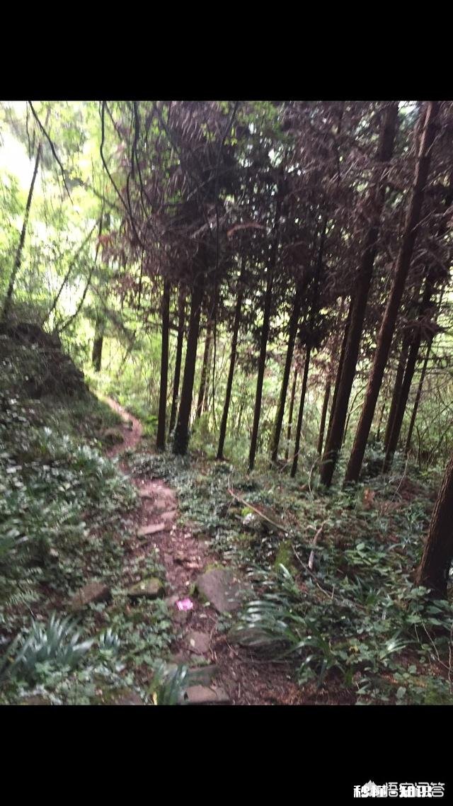 有人说喜欢农村，让你回农村象过去一样种土地，一年半载也去不了城里一次，你愿意吗