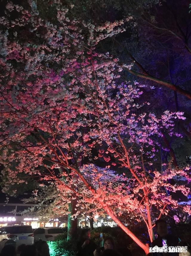 什么样的女生才能让男生爱的死心塌地