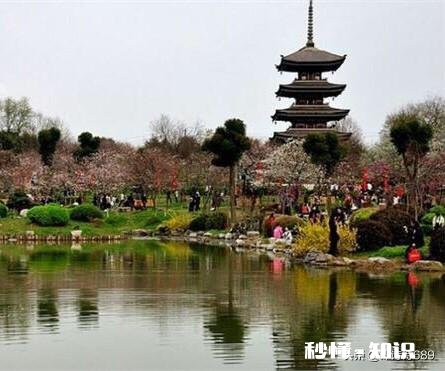 可以留下你喜欢的美好句子吗