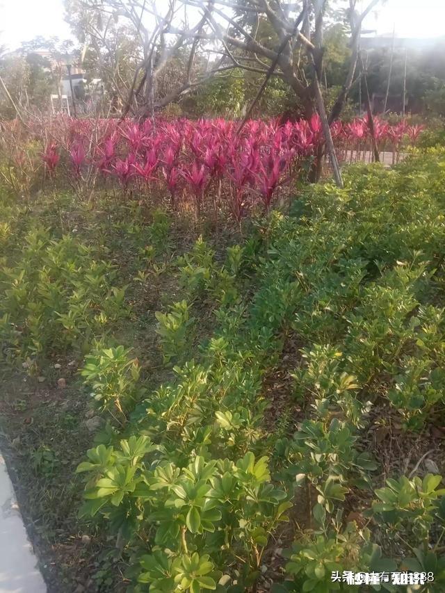 可以留下你喜欢的美好句子吗