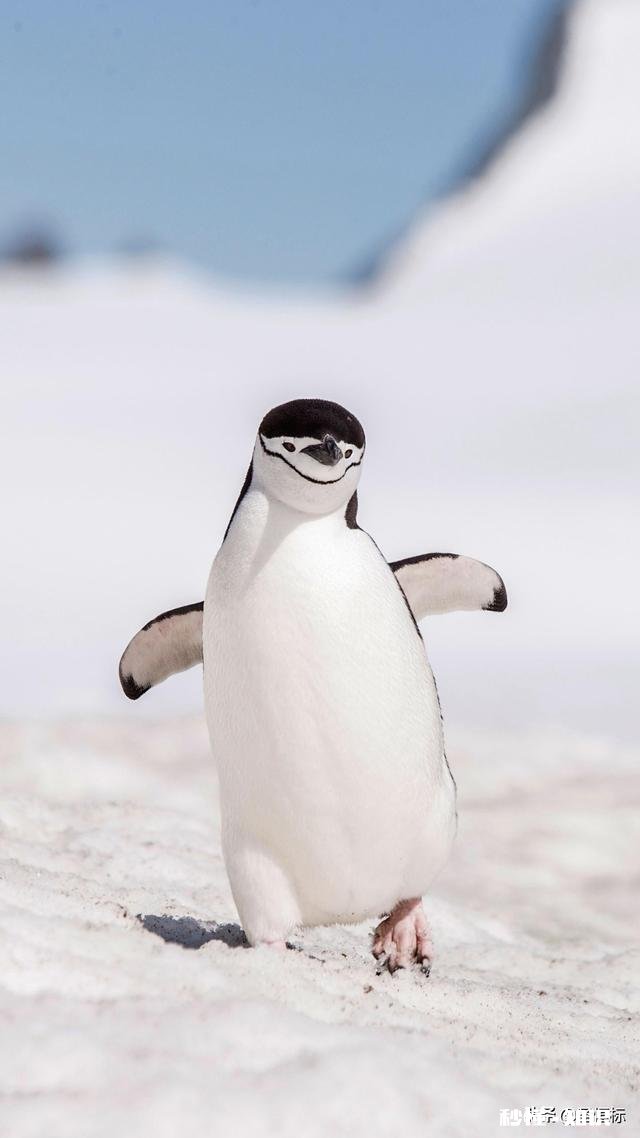 可以留下你喜欢的美好句子吗