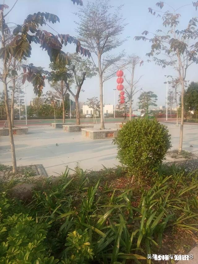 可以留下你喜欢的美好句子吗