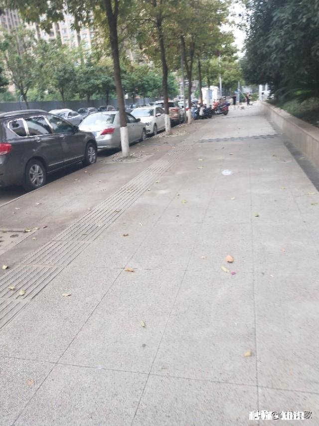 由于今年疫情的影响，大家认为下半年房子的价格会上涨还是下调