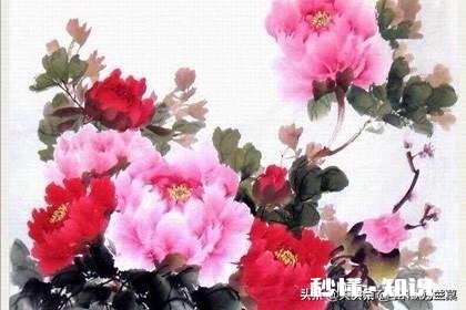 30万元做什么正规理财产品比较好