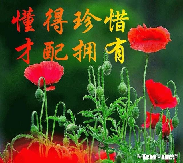 30万元做什么正规理财产品比较好