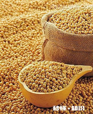 黑龙江大豆收购价格创近5年新高，是什么原因还会继续走高吗