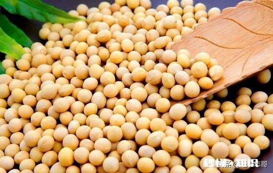 黑龙江大豆收购价格创近5年新高，是什么原因还会继续走高吗