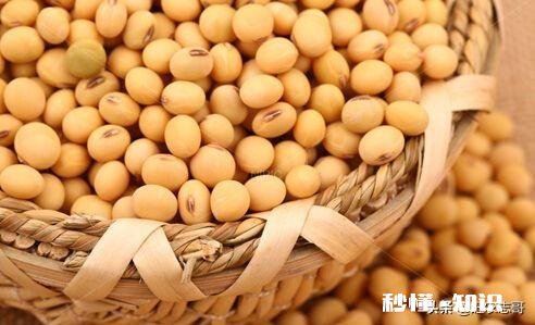 黑龙江大豆收购价格创近5年新高，是什么原因还会继续走高吗