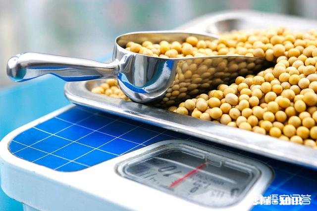 黑龙江大豆收购价格创近5年新高，是什么原因还会继续走高吗