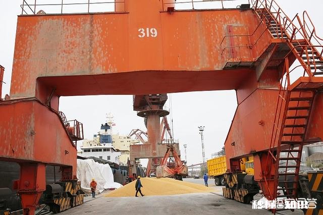 黑龙江大豆收购价格创近5年新高，是什么原因还会继续走高吗