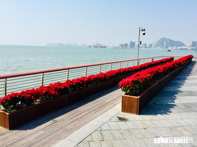 在帝都过年，可以拍些什么摄影题材，彰显“年味儿”