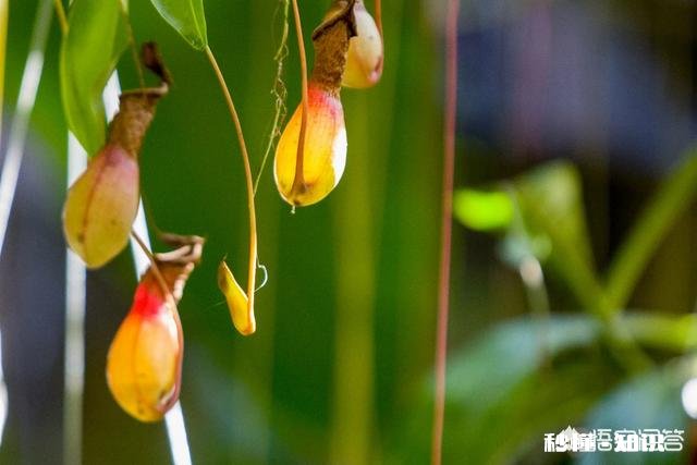 怎样才能拍出赏心悦目的照片