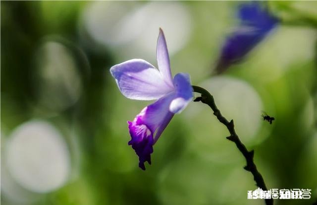 怎样才能拍出赏心悦目的照片