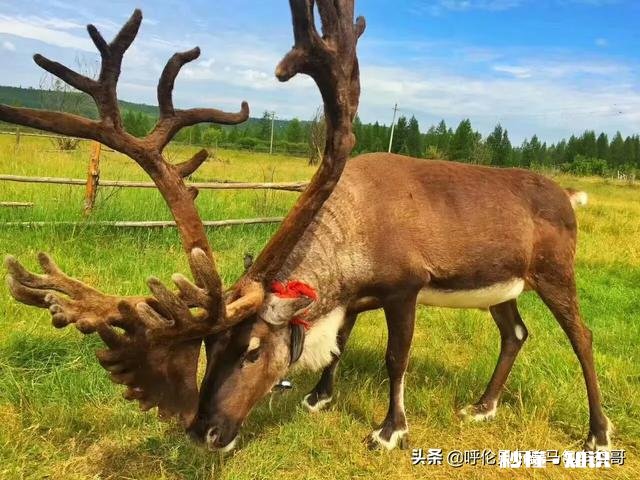 疫情过后，你还喜欢旅游吗去哪旅游
