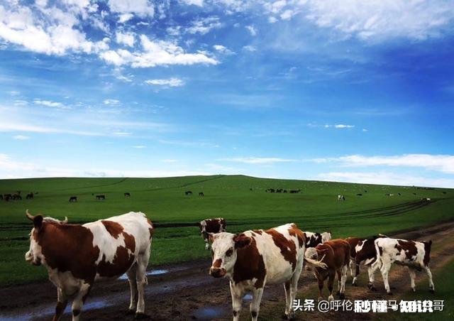 疫情过后，你还喜欢旅游吗去哪旅游