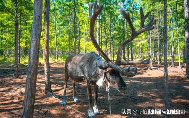 疫情过后，你还喜欢旅游吗去哪旅游