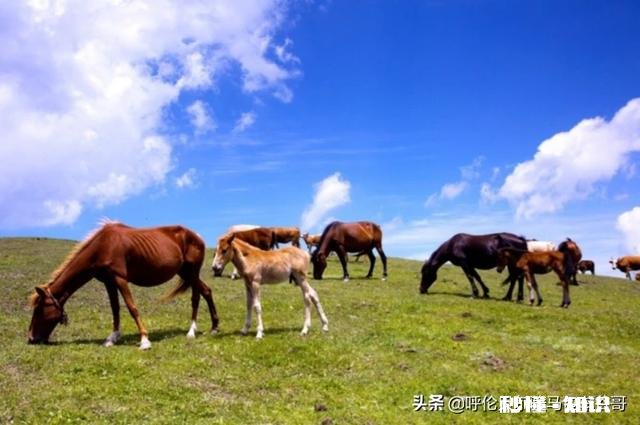 疫情过后，你还喜欢旅游吗去哪旅游