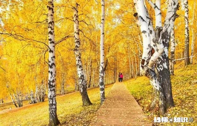 疫情过后，你还喜欢旅游吗去哪旅游