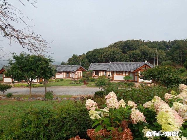 跟一个旅游团去韩国要花多少钱，要做些什么事，19岁可以去吗