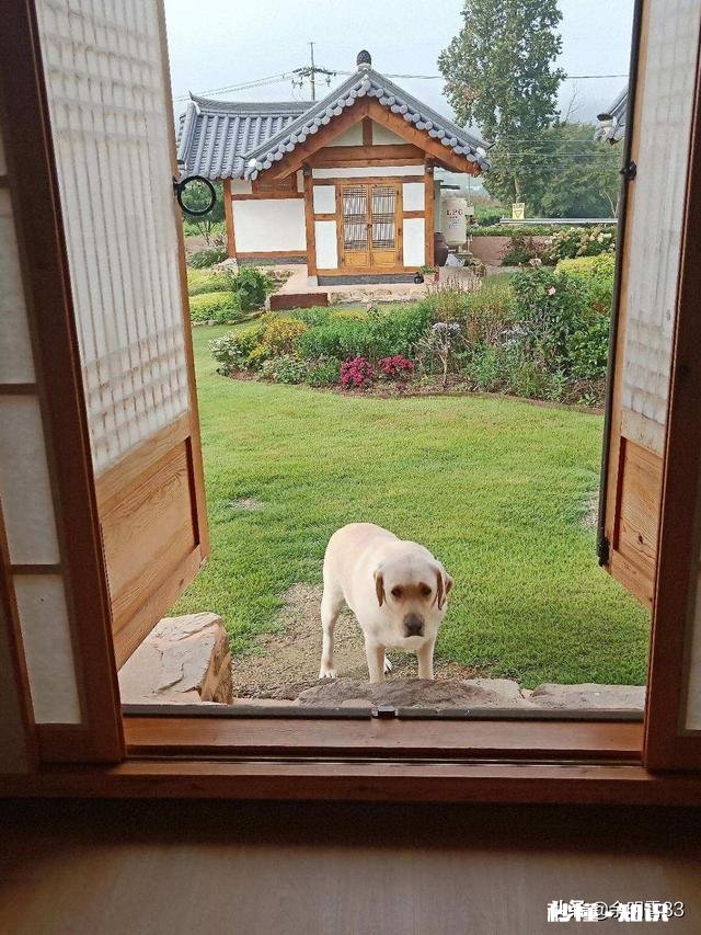 跟一个旅游团去韩国要花多少钱，要做些什么事，19岁可以去吗