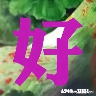 人到中年,你感悟最深的是什么