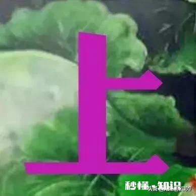 人到中年,你感悟最深的是什么