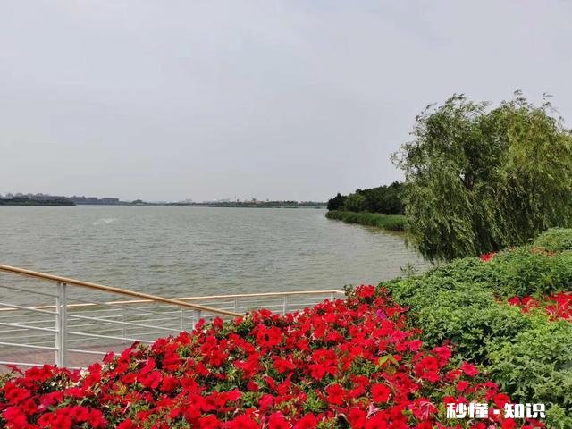 人到中年,你感悟最深的是什么