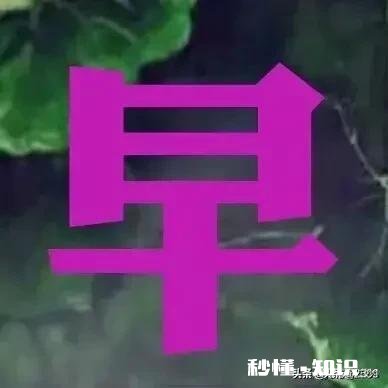 人到中年,你感悟最深的是什么