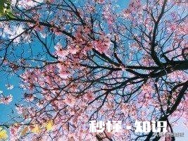 易爆易怒的父母养出来的孩子，都很敏感和自卑，你怎么看