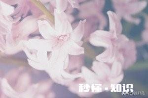 易爆易怒的父母养出来的孩子，都很敏感和自卑，你怎么看