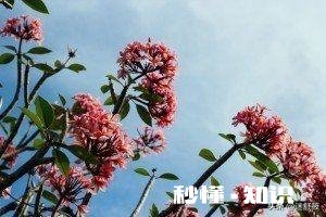 易爆易怒的父母养出来的孩子，都很敏感和自卑，你怎么看