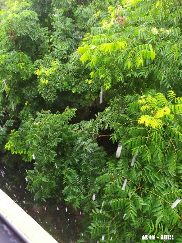 领证了，男朋友让我减肥成功后再办酒席，我还嫁吗