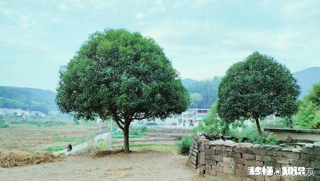 现在的农民很多都是负债累累，为什么会变成这样