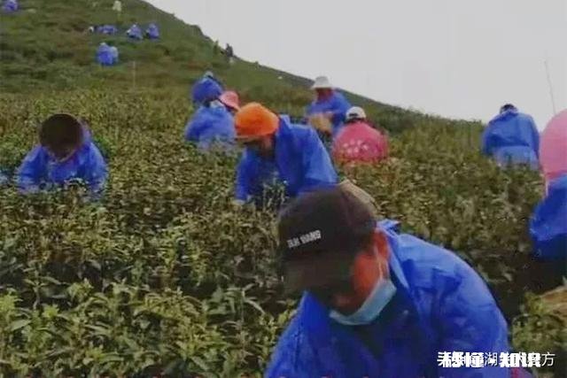 现在的农民很多都是负债累累，为什么会变成这样