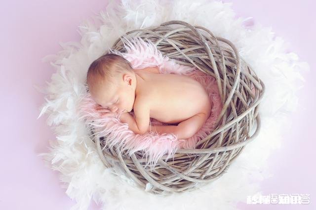 拍摄儿童时使用单点对焦还是连续自动对焦比较好