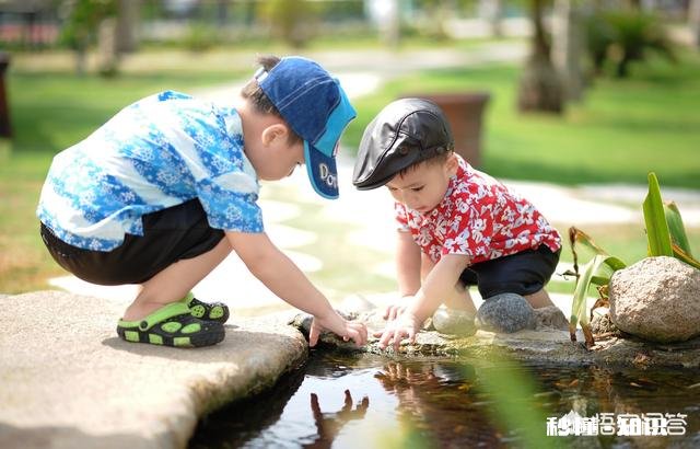 拍摄儿童时使用单点对焦还是连续自动对焦比较好